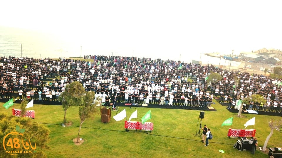 WhatsApp Image 2023-06-28 at 11.33.49 AM (2).jpeg